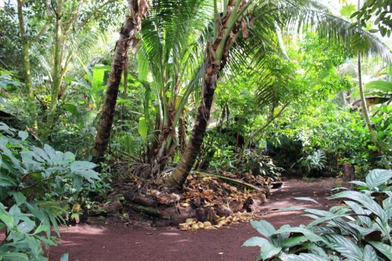 Paradise Eco Village Pahoa Exterior foto