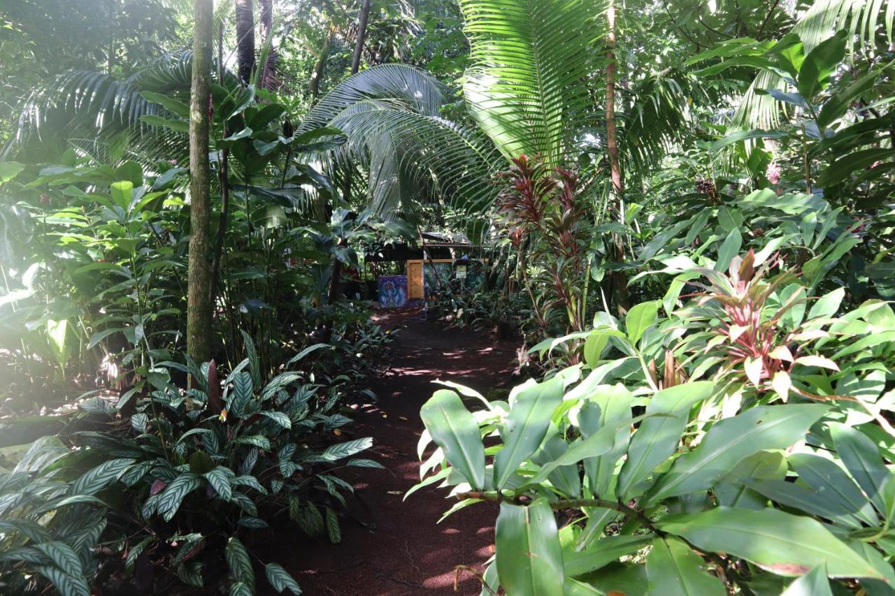 Paradise Eco Village Pahoa Exterior foto